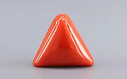 Italian Red Coral - 10.30 Carat Limited Quality TC-5432