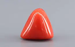 Italian Red Coral - 9.78 Carat Prime Quality TC-5443