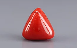 Italian Red Coral - 9.68 Carat Rare Quality TC-5448