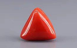 Italian Red Coral - 13.30 Carat Prime Quality TC-5449