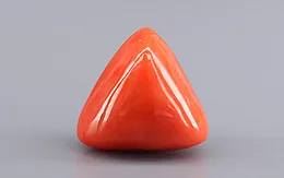Italian Red Coral - 15.30 Carat Rare Quality TC-5450