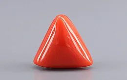 Italian Red Coral - 10.81 Carat Limited Quality TC-5453