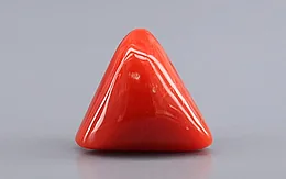 Italian Red Coral - 7.75 Carat Prime Quality TC-5455