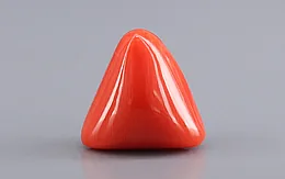 Italian Red Coral - 9.47 Carat Limited Quality TC-5458