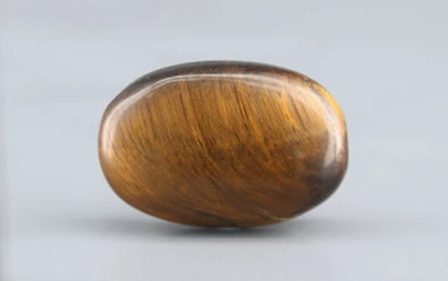 Tiger's Eye - TE 15011 Prime - Quality  16.34 Carat