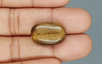 Tiger's Eye - TE 15011 Prime - Quality  16.34 Carat