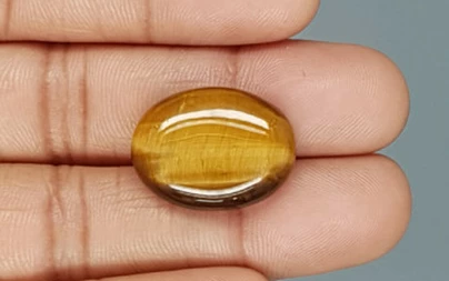 Tiger's Eye - TE 15012 Prime - Quality  20.75 Carat