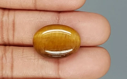 Tiger's Eye - TE 15013 Prime - Quality  20.10 Carat