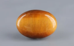 Tiger's Eye - TE 15013 Prime - Quality  20.10 Carat