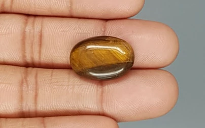 Tiger's Eye - TE 15015 Prime - Quality  13.71 Carat