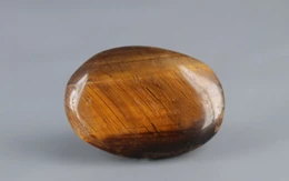 Tiger's Eye - TE 15015 Prime - Quality  13.71 Carat