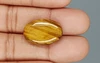 Tiger's Eye - TE 15016 Prime - Quality  17.39 Carat