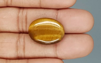 Tiger's Eye - TE 15019 Prime - Quality  20.23 Carat