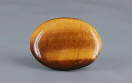 Tiger's Eye - TE 15019 Prime - Quality  20.23 Carat