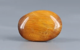 Tiger's Eye - TE 15024 Prime - Quality  8.82 Carat