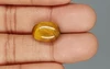 Tiger's Eye - TE 15024 Prime - Quality  8.82 Carat