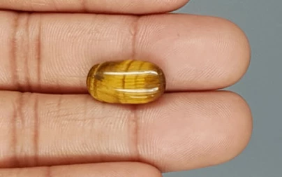 Tiger's Eye - TE 15025 Prime - Quality  6.36 Carat