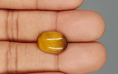 Tiger's Eye - TE 15028 Prime - Quality  5.30 Carat