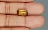 Tiger's Eye - TE 15029 Prime - Quality  3.70 Carat