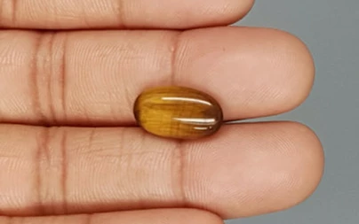 Tiger's Eye - TE 15039 Prime - Quality  5.12 Carat