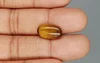 Tiger's Eye - TE 15039 Prime - Quality  5.12 Carat