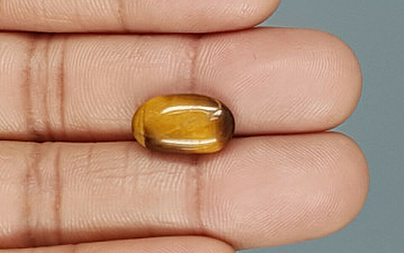 Tiger's Eye - TE 15042 Prime - Quality  4.91 Carat