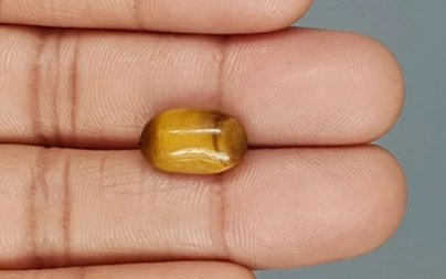 Tiger's Eye - TE 15043 Prime - Quality  5.33 Carat