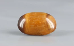 Tiger's Eye - TE 15043 Prime - Quality  5.33 Carat