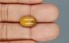 Tiger's Eye - TE 15044 Prime - Quality  4.82 Carat