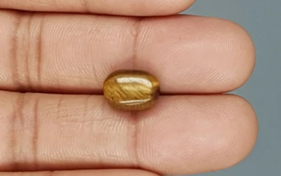 Tiger's Eye - TE 15045 Prime - Quality  4.56 Carat