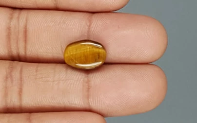 Tiger's Eye - TE 15047 Prime - Quality  4.10 Carat