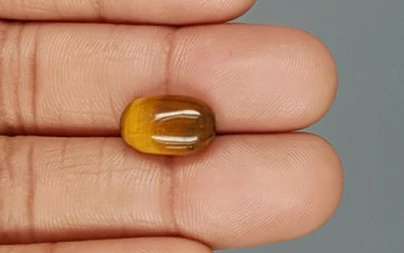 Tiger's Eye - TE 15048 Prime - Quality  5.36 Carat