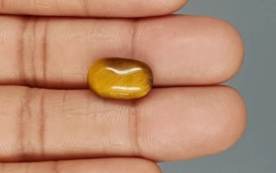 Tiger's Eye - TE 15049 Prime - Quality  5.86 Carat