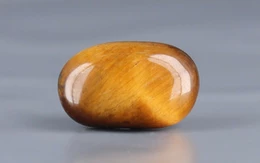 Tiger's Eye - TE 15049 Prime - Quality  5.86 Carat