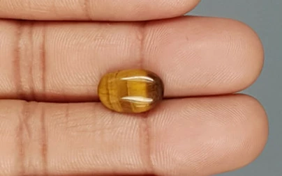 Tiger's Eye - TE 15050 Prime - Quality  3.95 Carat