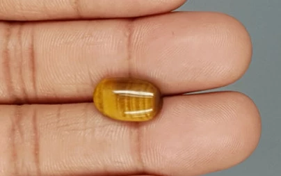 Tiger's Eye - TE 15052 Prime - Quality  4.34 Carat