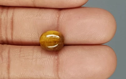 Tiger's Eye - TE 15055 Prime - Quality  4.14 Carat