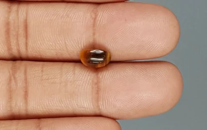 Tiger's Eye - TE 15056 Prime - Quality  1.82 Carat