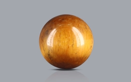 Tiger's Eye - TE 15057 Prime - Quality  2.47 Carat