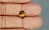 Tiger's Eye - TE 15058 Prime - Quality  2.13 Carat