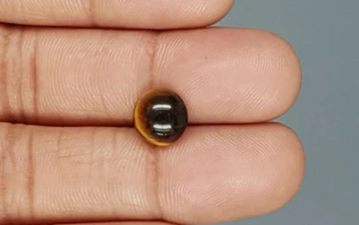 Tiger's Eye - TE 15061 Prime - Quality  2.72 Carat