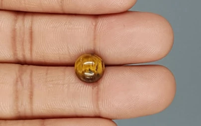 Tiger's Eye - TE 15062 Prime - Quality  3.0 Carat