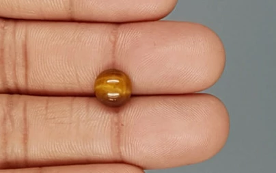 Tiger's Eye - TE 15063 Prime - Quality  2.3 Carat