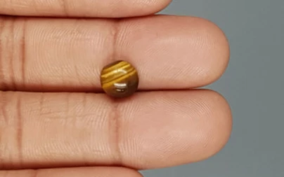 Tiger's Eye - TE 15064 Prime - Quality  2.06 Carat