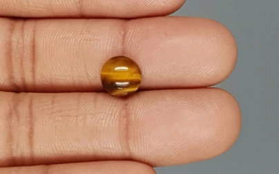 Tiger's Eye - TE 15065 Prime - Quality  2.17 Carat