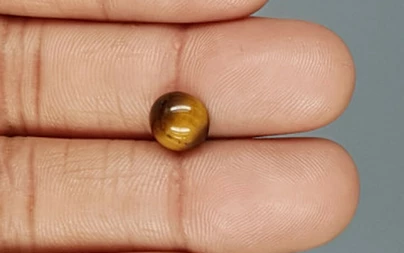 Tiger's Eye - TE 15066 Prime - Quality  2.01 Carat