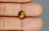 Tiger's Eye - TE 15066 Prime - Quality  2.01 Carat