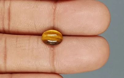 Tiger's Eye - TE 15067 Prime - Quality  1.88 Carat