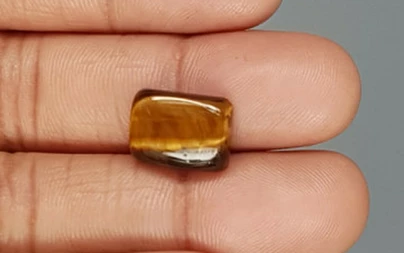 Tiger's Eye - TE 15071 Prime - Quality  6.82 Carat