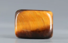 Tiger's Eye - TE 15071 Prime - Quality  6.82 Carat